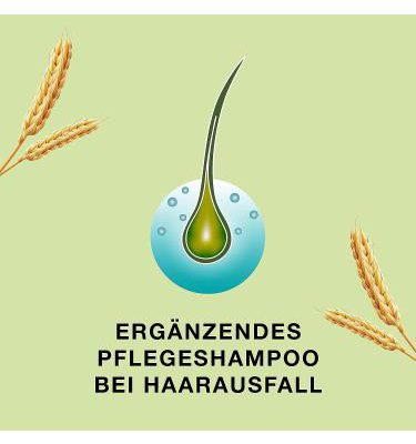 81pRy4rHJ7L._SL1500_